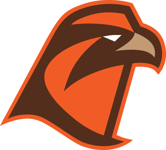 Bowling Green Falcons 2006-Pres Alternate Logo v7 diy fabric transfer